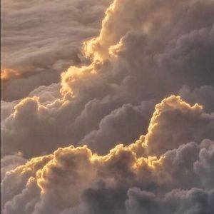 Meet your Posher, Madeline